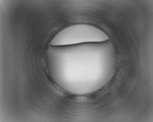 X0000068720361200604280930