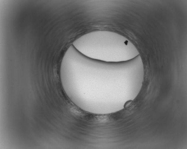 X0000068720377200604280930