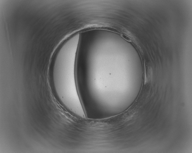 X0000068720387200604280930