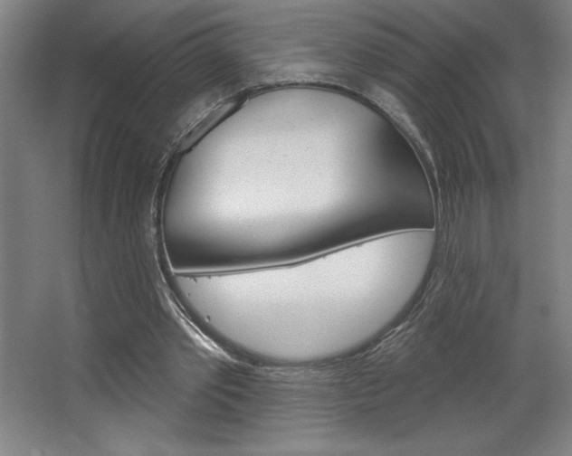 X0000068720389200604280930