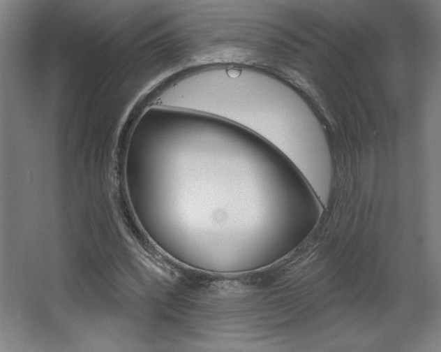 X0000068720392200604280930