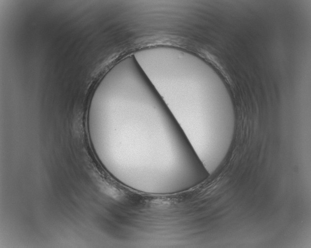 X0000068720394200604280929