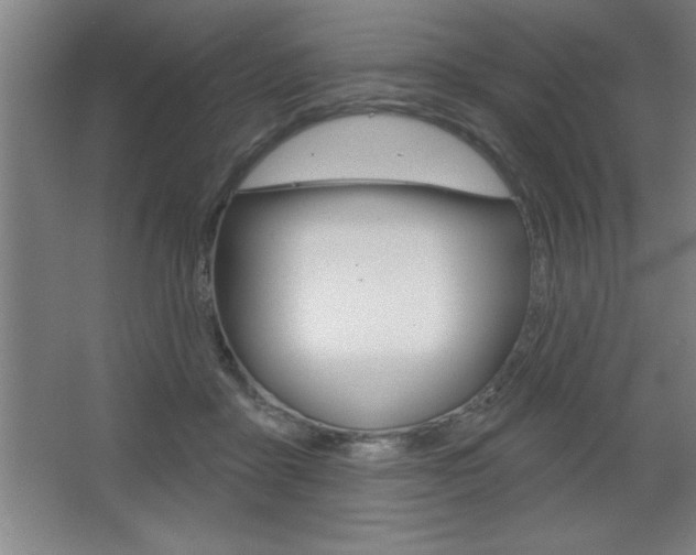 X0000068720411200604280929