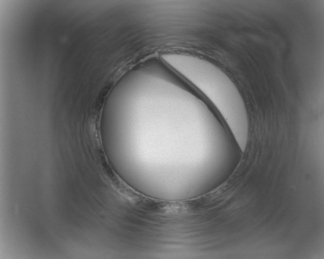 X0000068720415200604280929