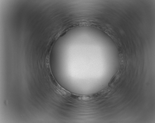 X0000068720419200604280929