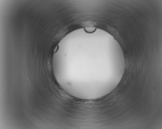 X0000068720426200604280929
