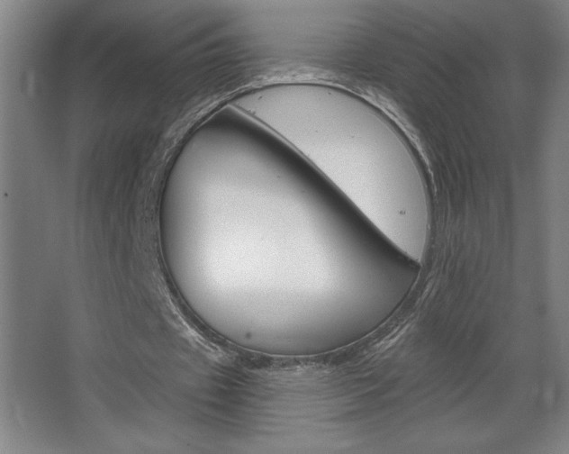 X0000068720433200604280928