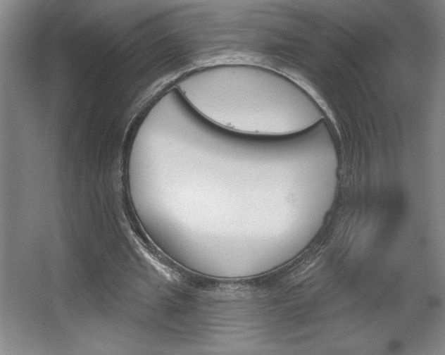 X0000068720437200604280928