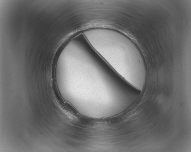 X0000068720438200604280928