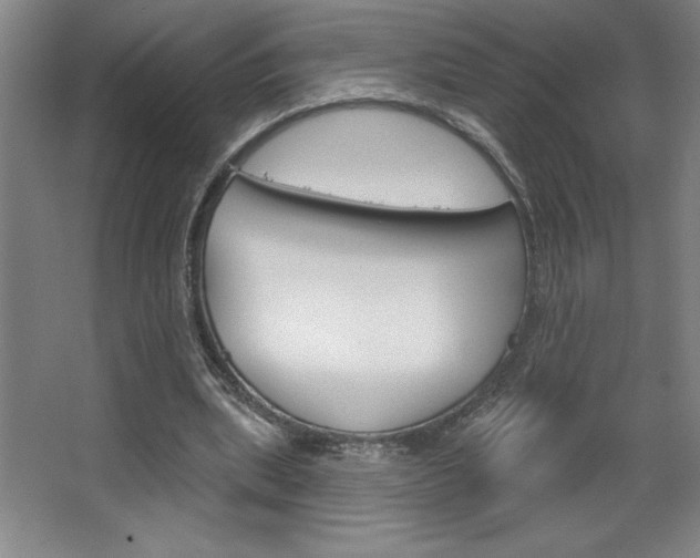 X0000068720439200604280928