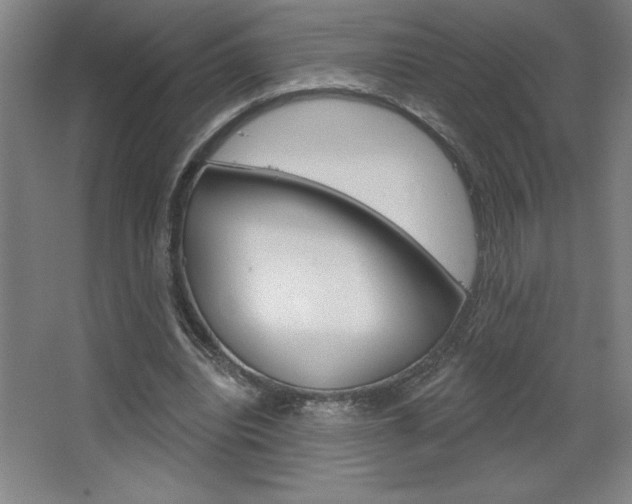 X0000068720440200604280928