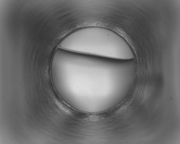 X0000068720441200604280928