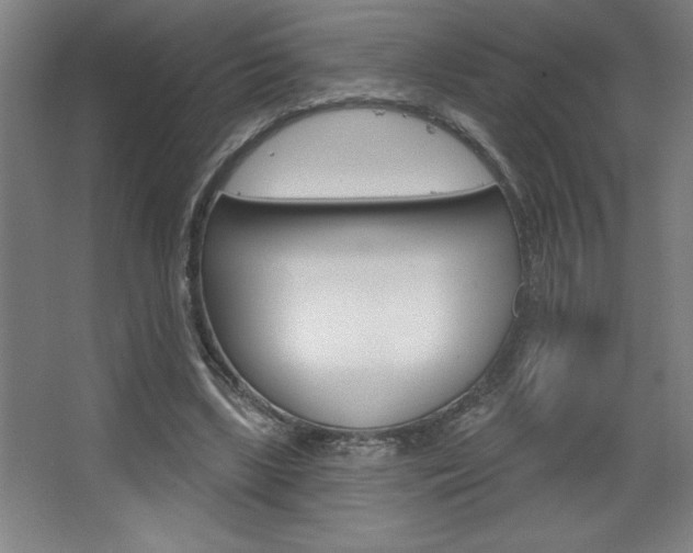 X0000068720443200604280928