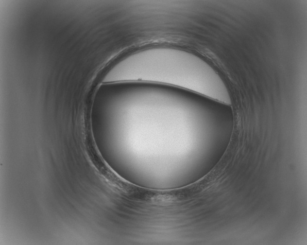 X0000068720444200604280928
