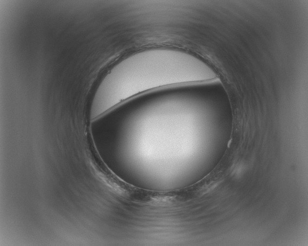 X0000068720450200604280928