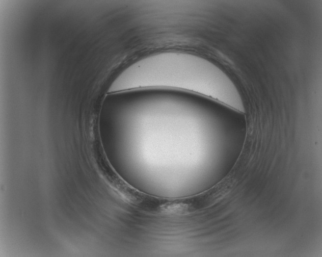 X0000068720452200604280928