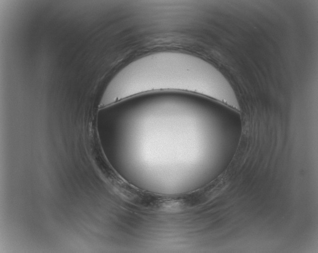 X0000068720456200604280928