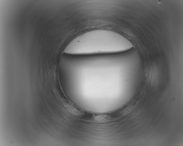 X0000068720461200604280928