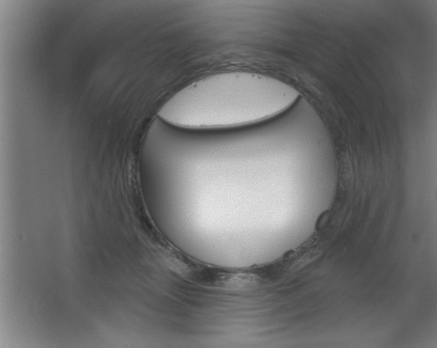 X0000068720463200604280929