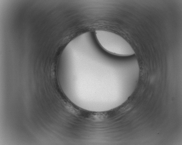 X0000068720466200604280929