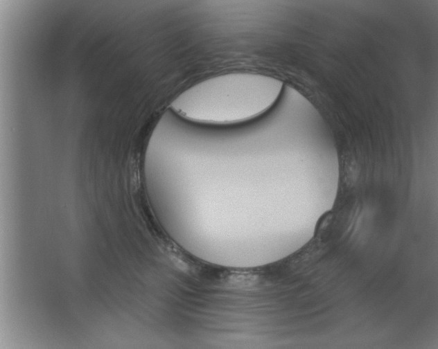 X0000068720471200604280929