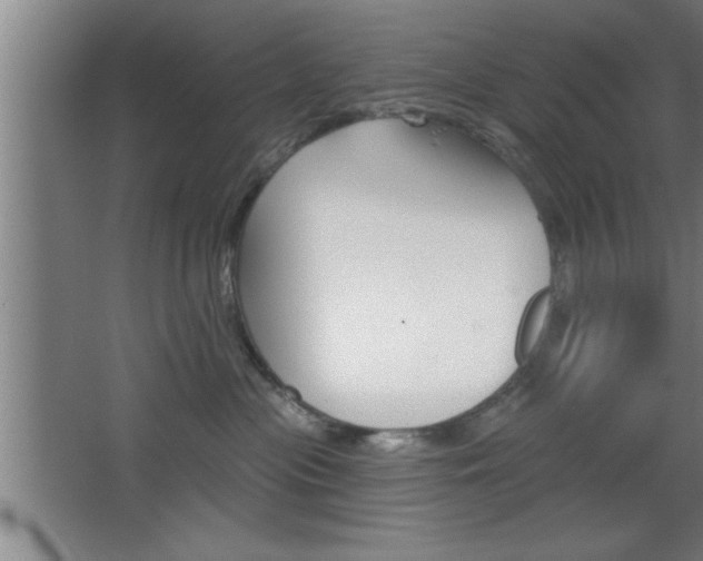 X0000068720477200604280929