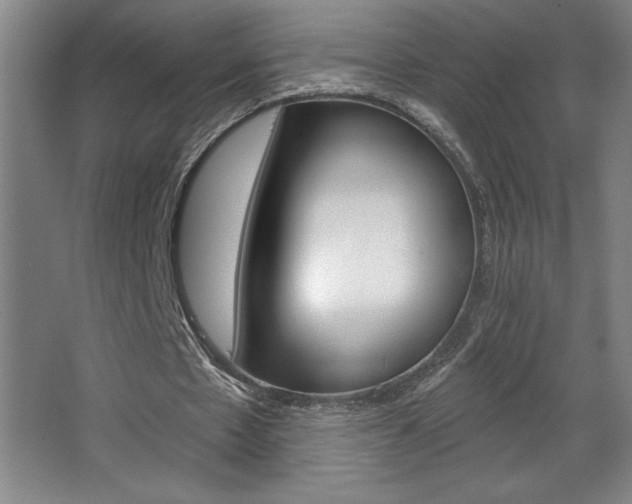 X0000068720481200604280928