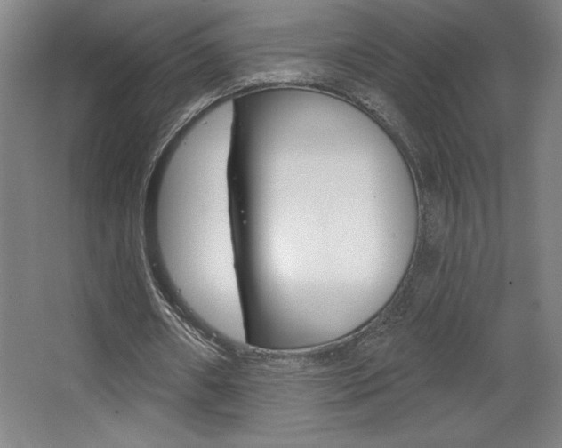 X0000068720482200604280928