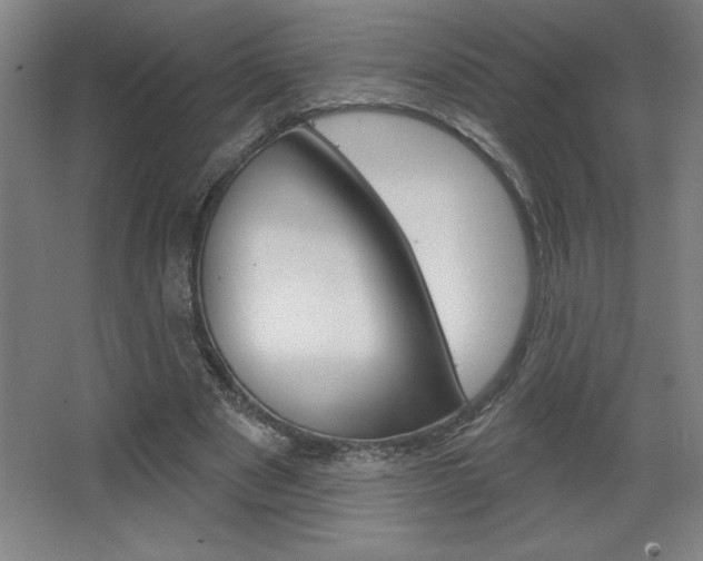 X0000068720489200604280928
