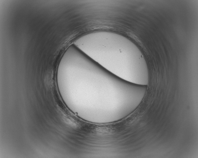 X0000068720490200604280928