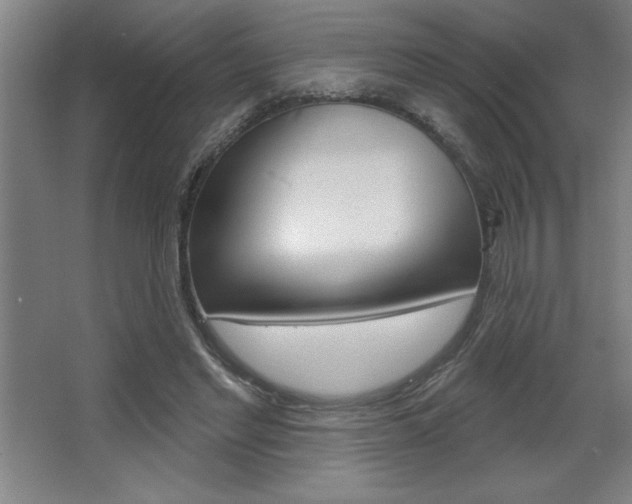 X0000068720493200604280928