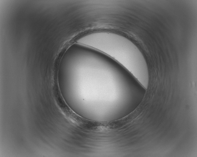 X0000068720496200604280928