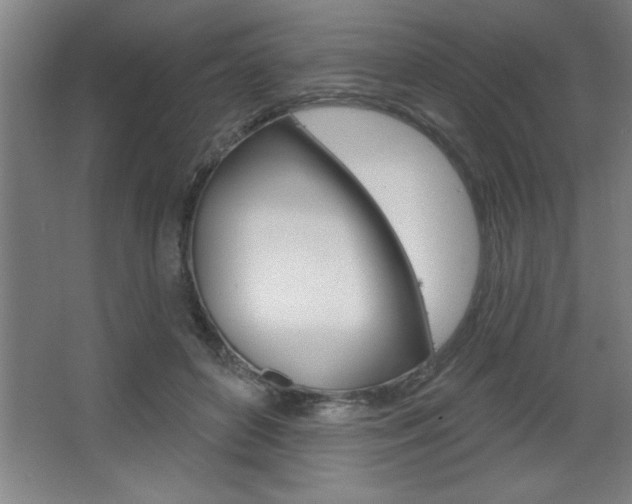 X0000068720504200604280928