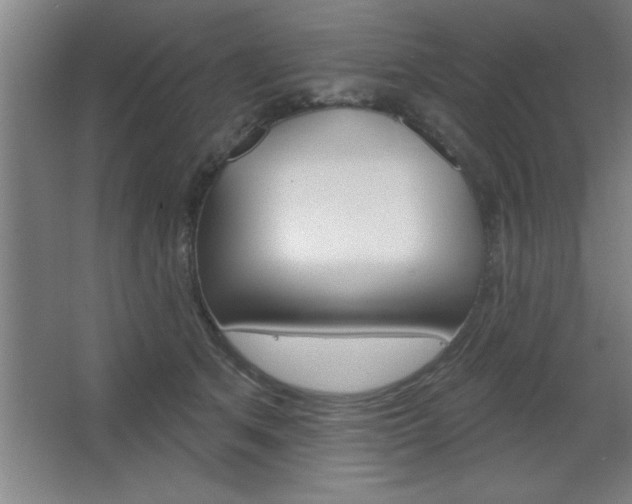 X0000068720513200604280927