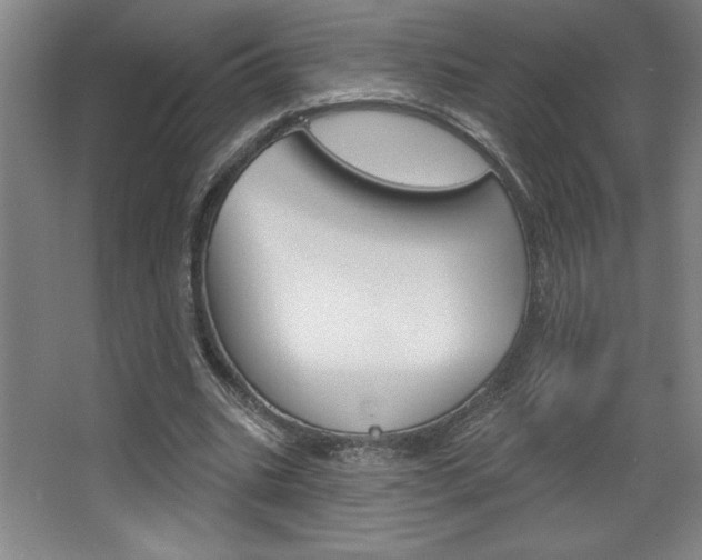 X0000068720535200604280927