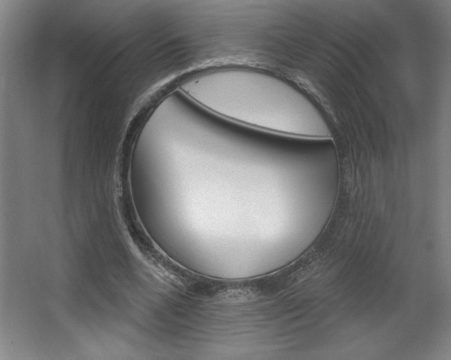 X0000068720536200604280927