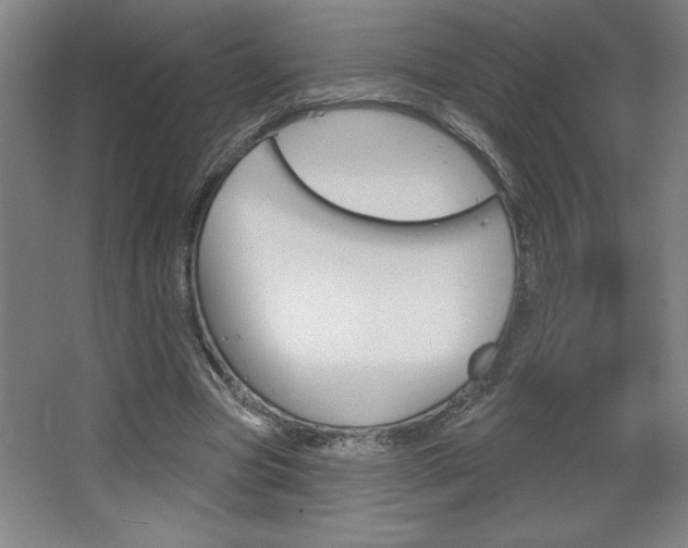 X0000068720537200604280927