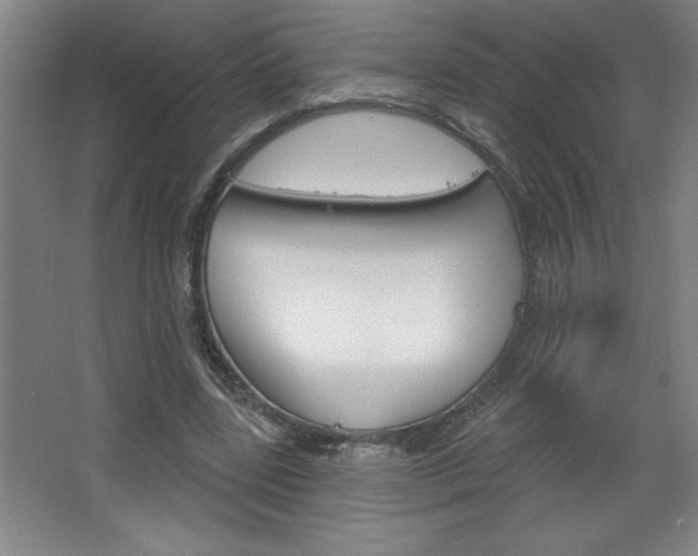 X0000068720539200604280927