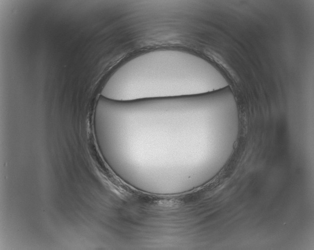 X0000068720541200604280927