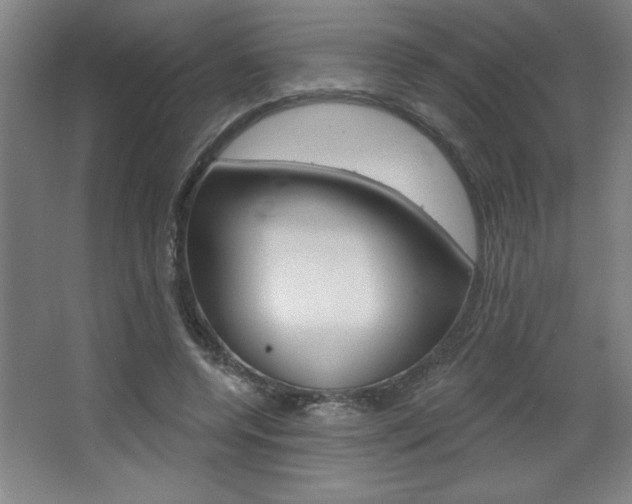 X0000068720544200604280927