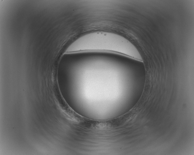 X0000068720546200604280927