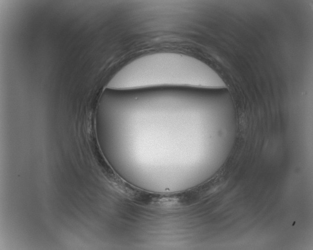 X0000068720554200604280927