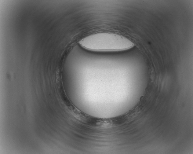 X0000068720559200604280927