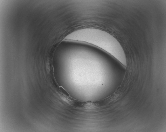 X0000068720562200604280927