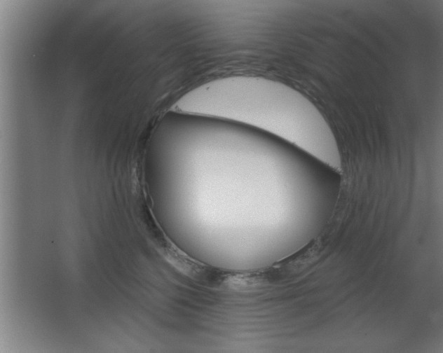 X0000068720568200604280927