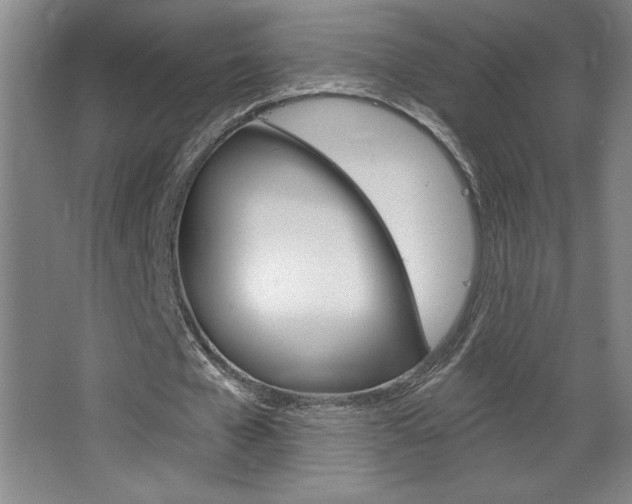 X0000068720577200604280926