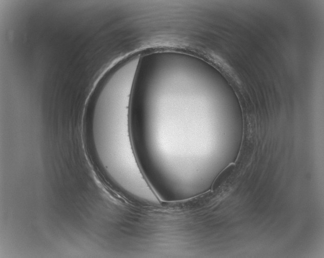 X0000068720580200604280926