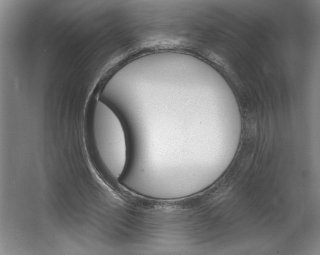 X0000068720582200604280926