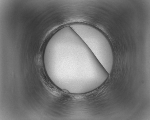 X0000068720583200604280926