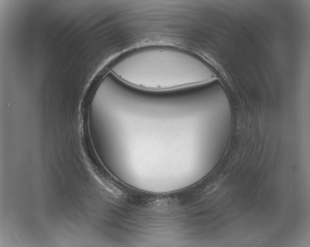 X0000068720584200604280926